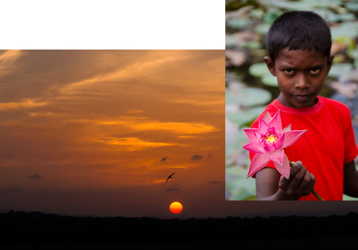 The ideal color of a padparadscha has been described by some as the marriage between a lotus flower and a sunset, each shown above in Sri Lanka.
