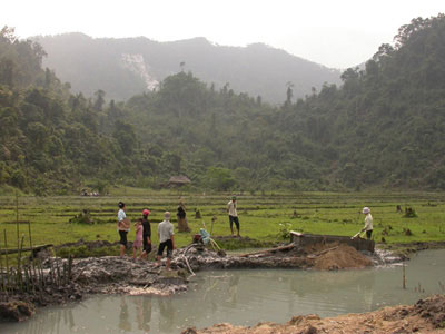 Spinel and ruby mining in rice fields near An Phu village, Luc Yen region, Vietnam. In the background are white marble cliff where spinels are also mined. Luc Yen Vietnam.