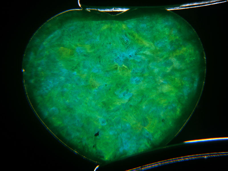 Top: This heart-shaped jadeite cabochon is actually hollowed out to near-eggshell thickness so that the color appears bright and lively. To protect it, the back is filled in with resin. Such stones are normally bezel set with a closed backing to hide the fraud.
